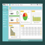 Business dashboard and reporting service